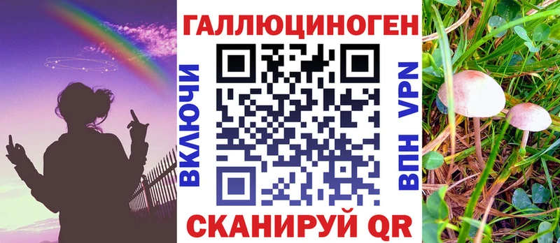 Купить закладки  Электрогорск  Псилоцибиновые грибы GOLDEN TEACHER 